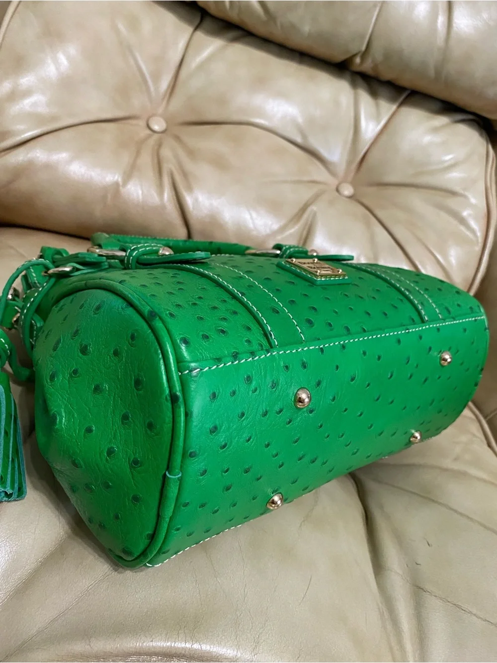 NEW Dooney & Bourke Kelly Green Pocket Satchel Ostrich Embossed Leather Tassel